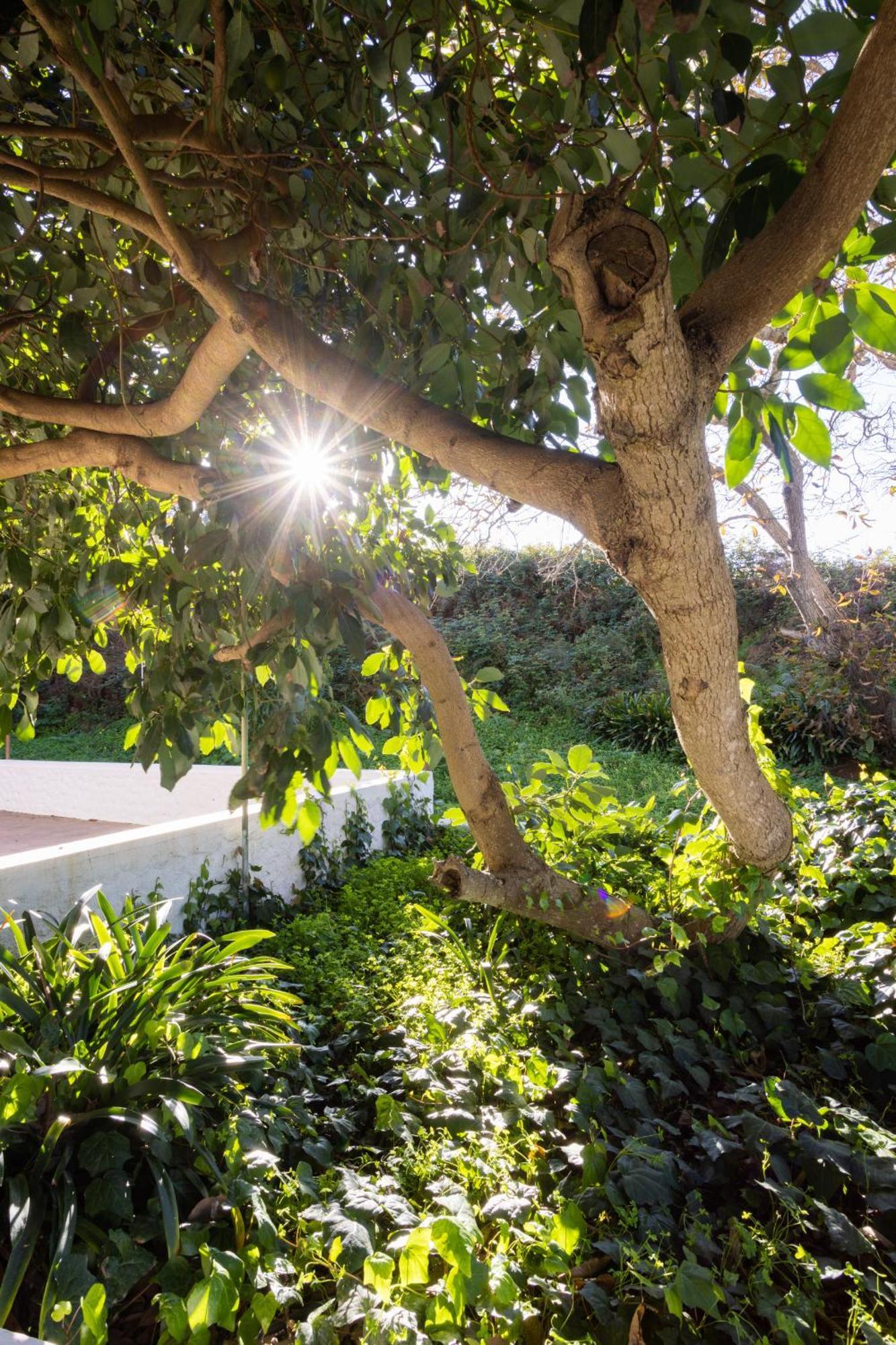 Lightbooking Casa De Campo Ortigal Tenerife La Esperanza (Tenerife) Exterior photo